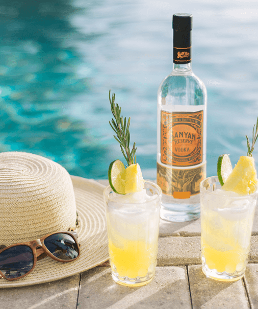 A bottle of gin and a hat next to a pool.